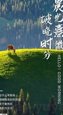 mk美国官网入口-MK(Michael Kors)美国官网,时尚潮流新风潮